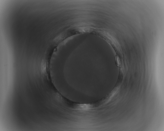 X0000102530233200808151602