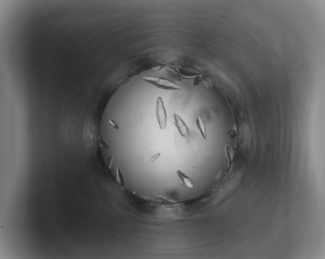 X0000102530234200808151602