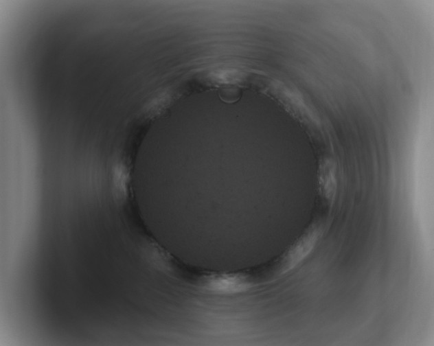 X0000102530235200808151602