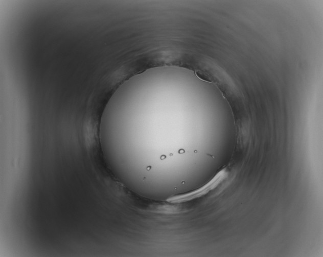 X0000102530236200808151602