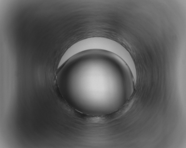 X0000102530237200808151602