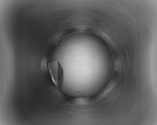 X0000102530238200808151602
