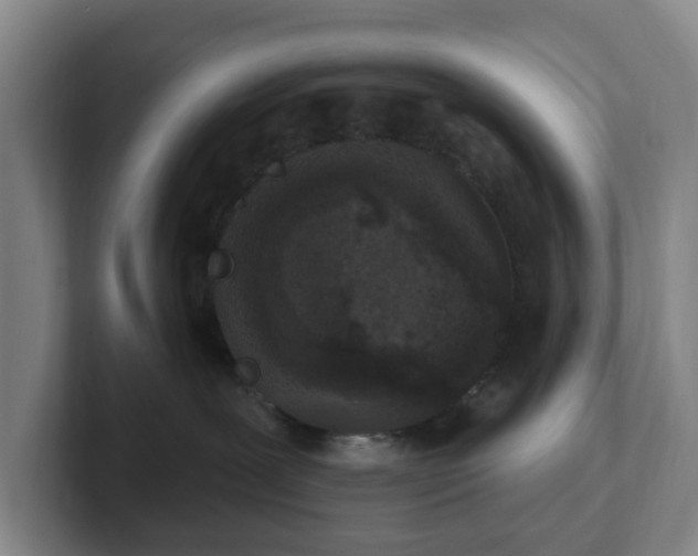 X0000102530239200808151602