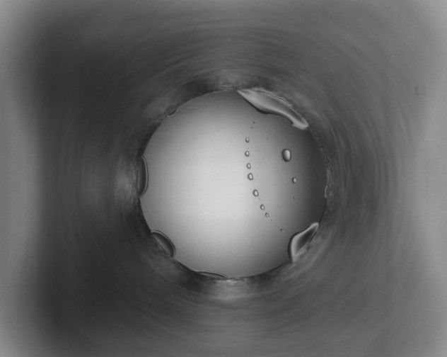 X0000102530240200808151602