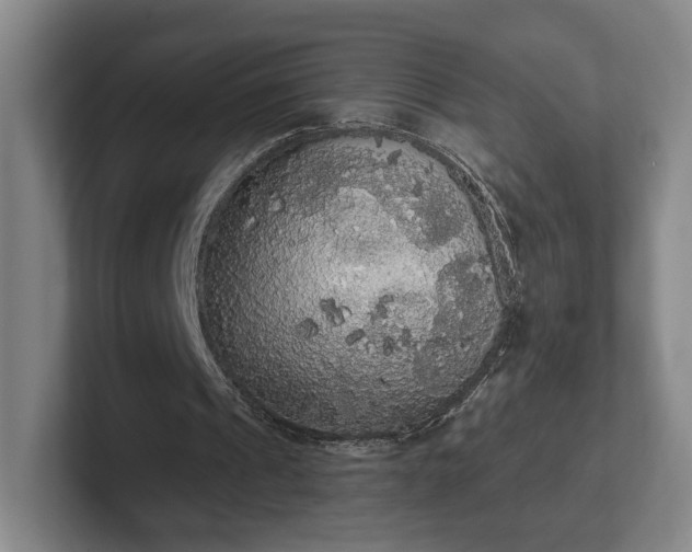 X0000102530241200808151601