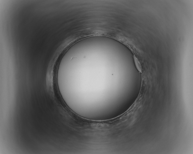 X0000102530242200808151601