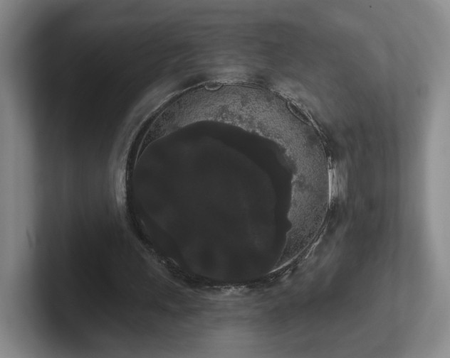 X0000102530243200808151601