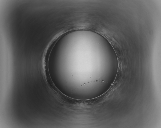 X0000102530244200808151601