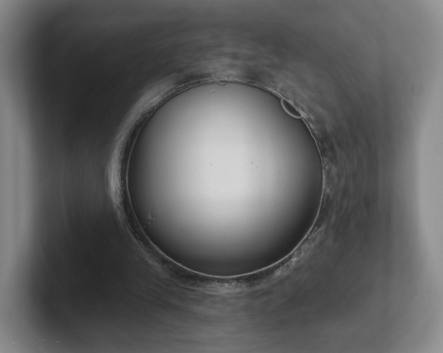 X0000102530245200808151602