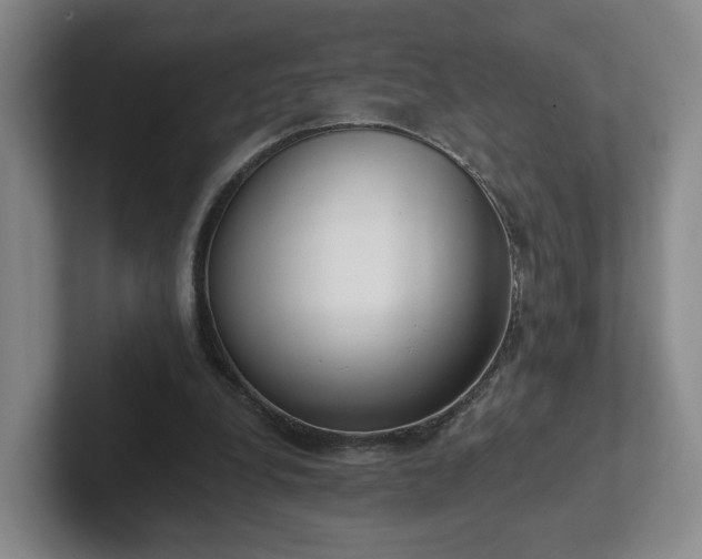 X0000102530248200808151602