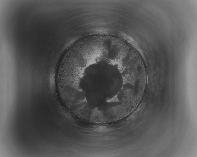 X0000102530249200808151602