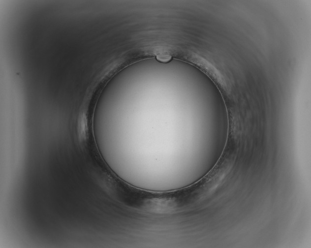 X0000102530251200808151602