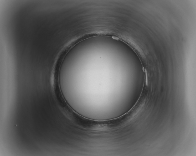 X0000102530252200808151602