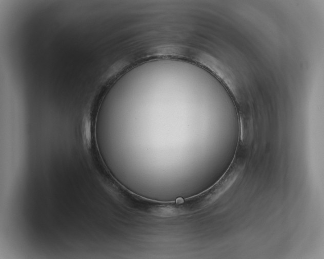 X0000102530253200808151602