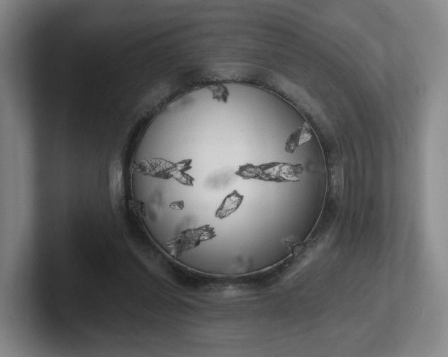 X0000102530254200808151602