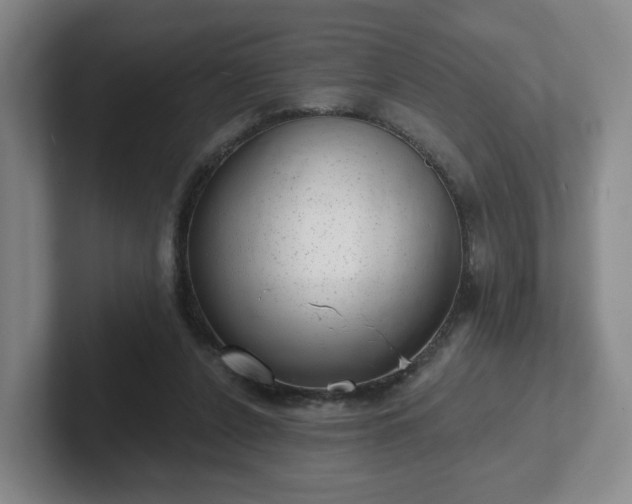 X0000102530256200808151602