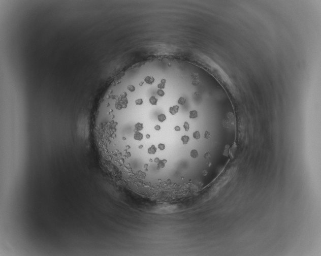 X0000102530257200808151602