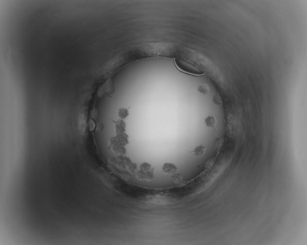 X0000102530259200808151602