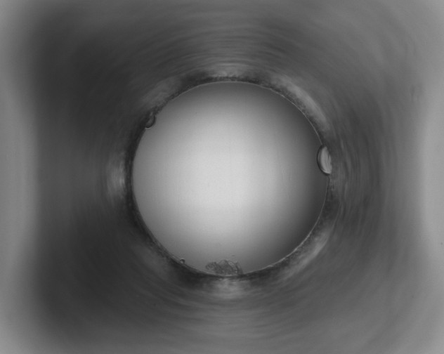 X0000102530261200808151602