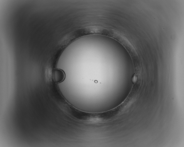 X0000102530262200808151602