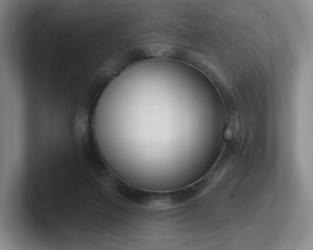 X0000102530263200808151602