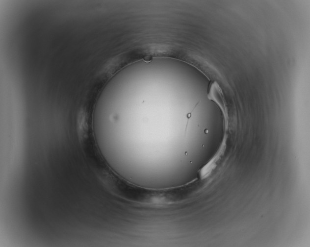 X0000102530264200808151602