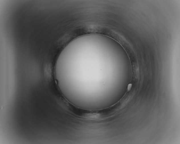 X0000102530266200808151602