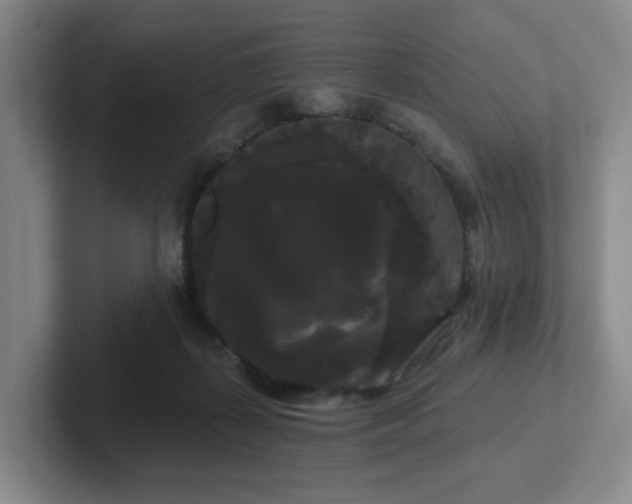 X0000102530267200808151602