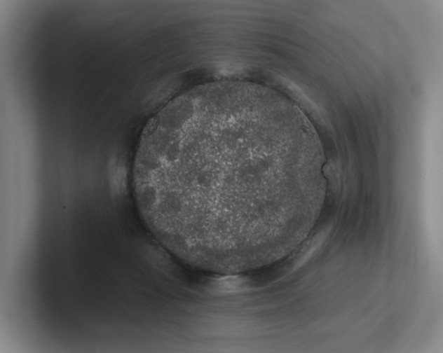 X0000102530269200808151602