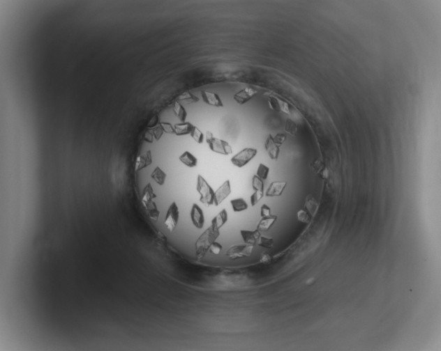 X0000102530270200808151602