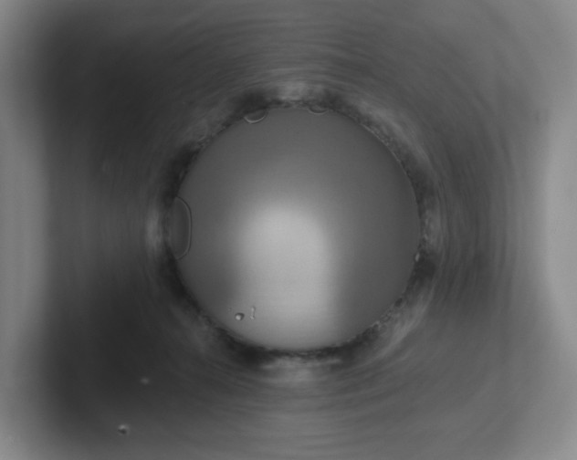 X0000102530272200808151602