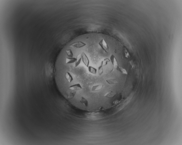 X0000102530273200808151602