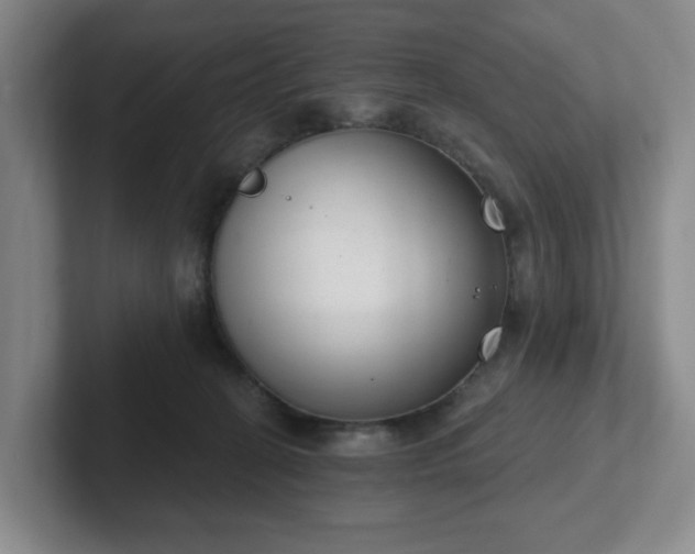 X0000102530274200808151602