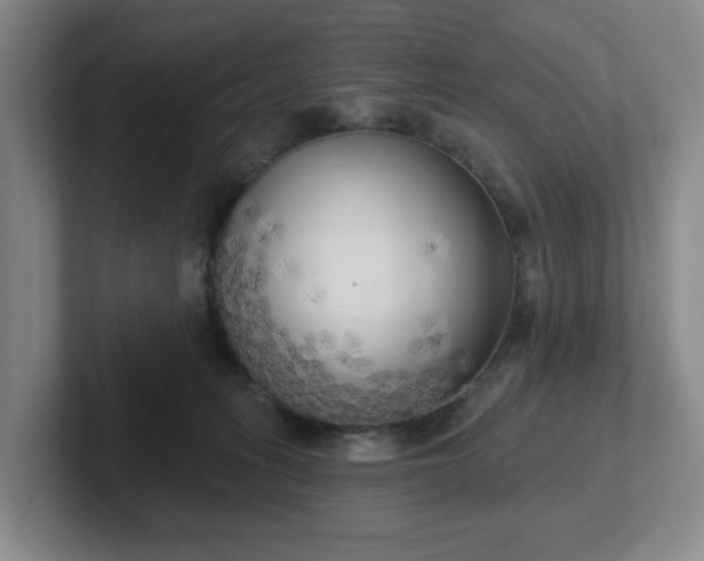 X0000102530275200808151602