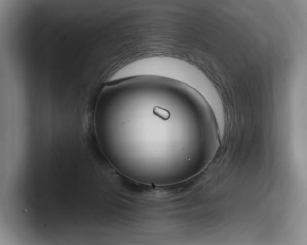 X0000102530276200808151602