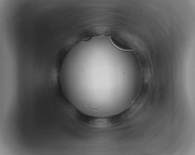 X0000102530279200808151602