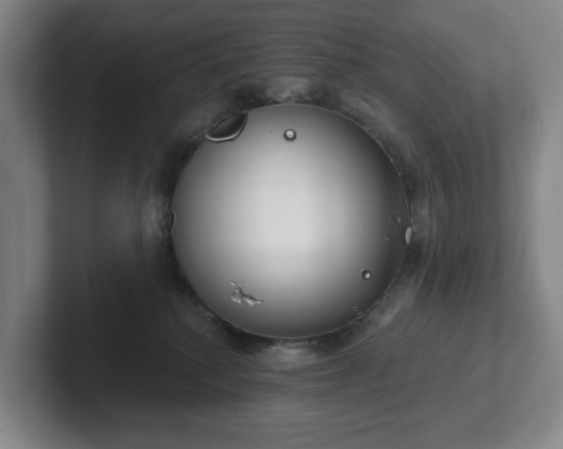 X0000102530280200808151602