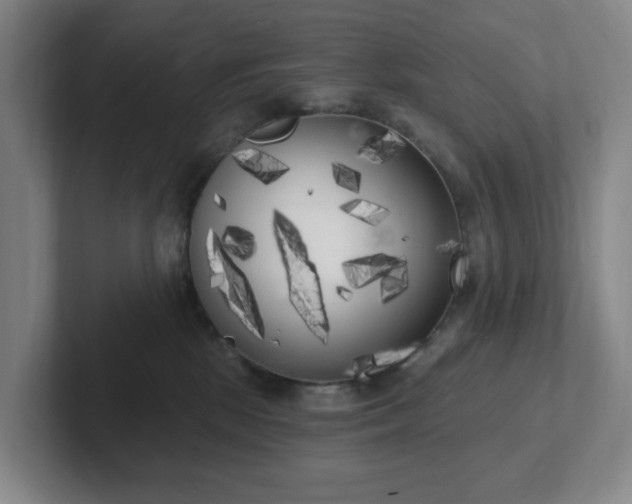 X0000102530281200808151602