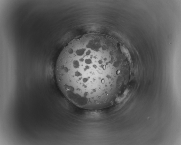 X0000102530282200808151602