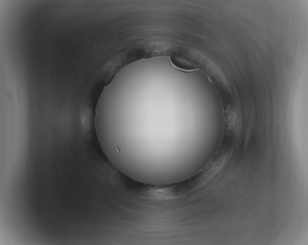 X0000102530283200808151602