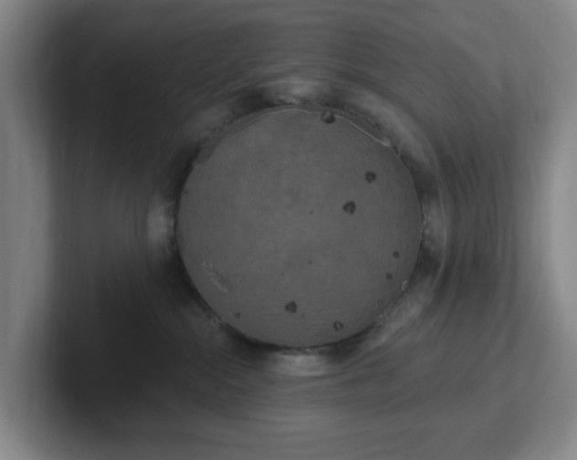 X0000102530284200808151602