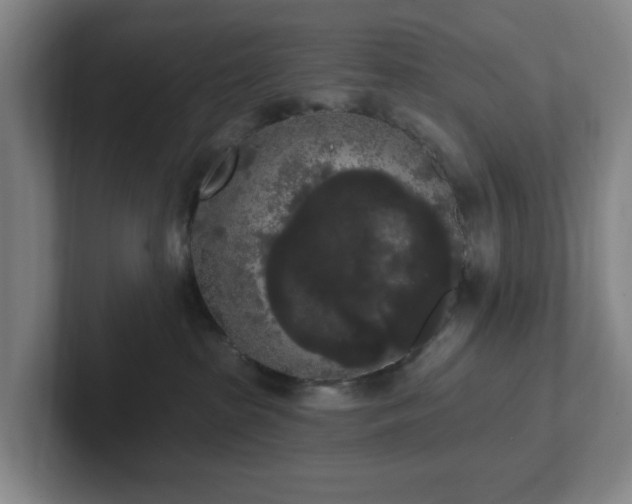 X0000102530285200808151602