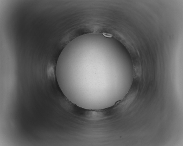 X0000102530286200808151602