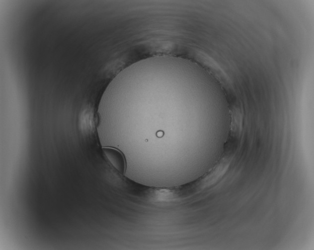 X0000102530287200808151602