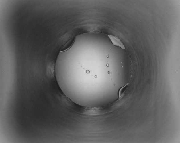 X0000102530288200808151602