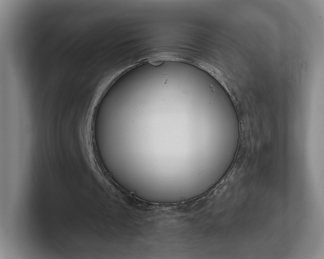 X0000102530289200808151601