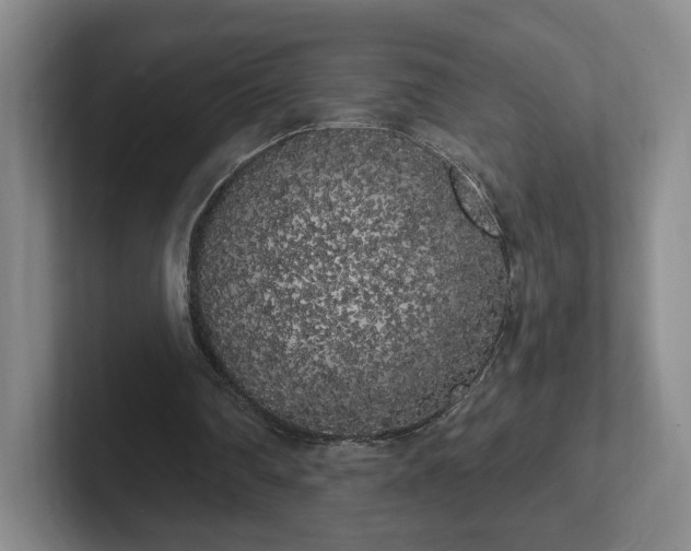 X0000102530290200808151601