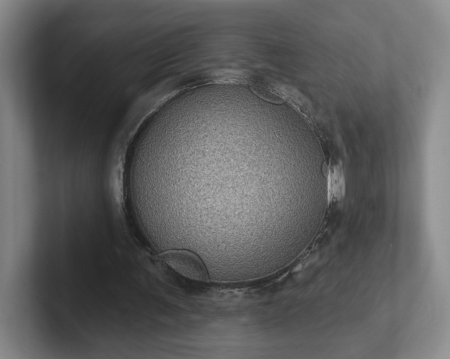 X0000102530291200808151601