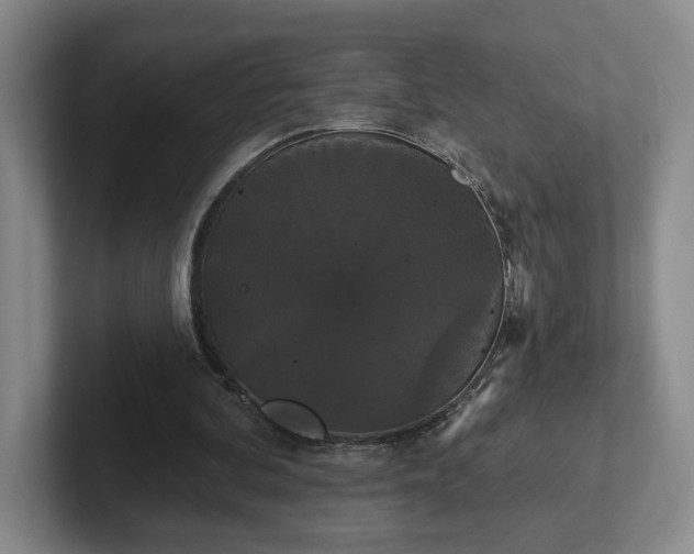 X0000102530292200808151601