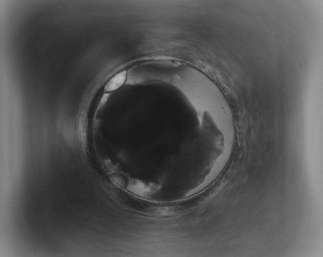 X0000102530295200808151601